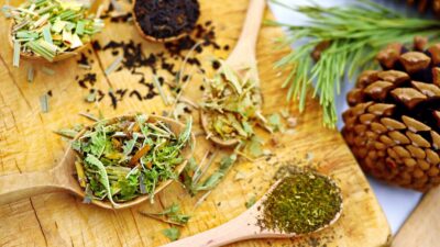 10 Things You Didn’t Know About Herbal Teas