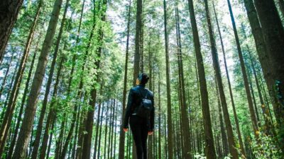 10 Surprising Benefits of Forest Bathing