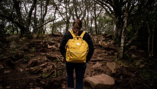 Why Connecting with Nature is Essential for Your Wellbeing