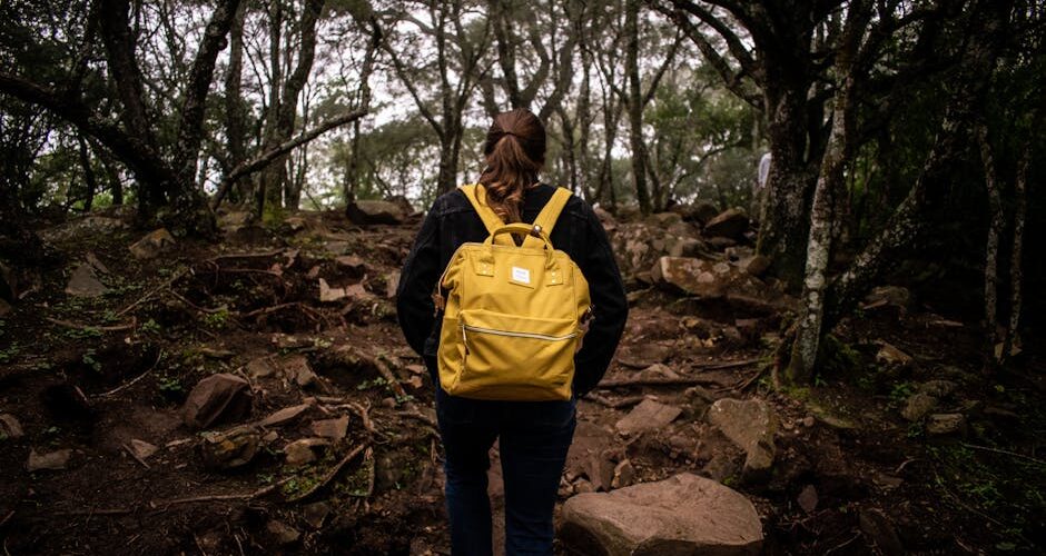 Why Connecting with Nature is Essential for Your Wellbeing