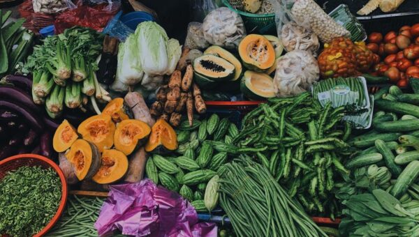 The 2026 Guide to Vibrant Gut Health: Beyond Probiotics
