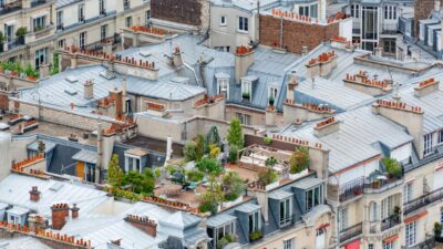 Harnessing the Power of Urban Gardening for Wellness in 2026