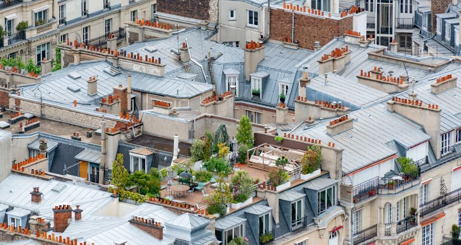 Harnessing the Power of Urban Gardening for Wellness in 2026